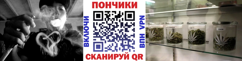 Купить где  Николаевск  Бошки Шишки план 